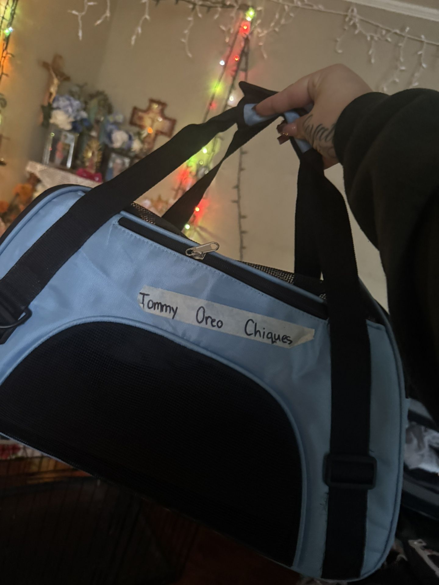 PET CARRIER