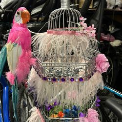 Bird Cage House Art Lights Up