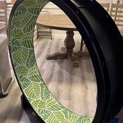 Selling my One Fast Cat Gen 7 Exercise Wheel 