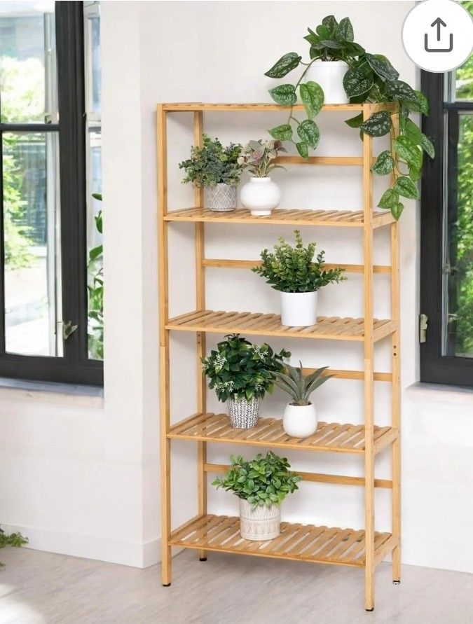Shelves, Bamboo, New