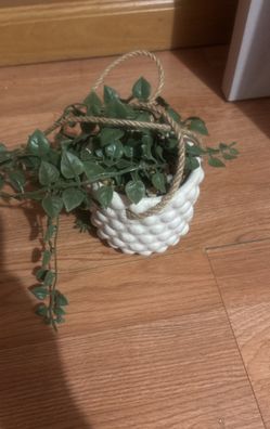 Artificial Plant