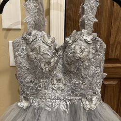 Butterfly silver short dress