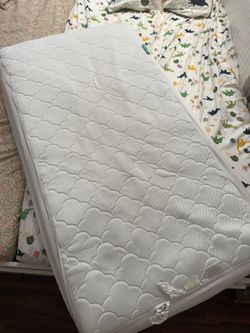 Organic Dream Crib Mattress 2 Stage For Baby And Toddler 5" + Newton Waterproof Mattress Pad