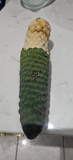 Organic monstera