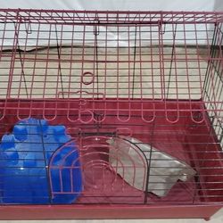 Cage