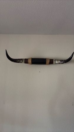 Mounted Texas Longhorn Steer Horns
