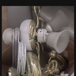 Ceiling Fan With Lights