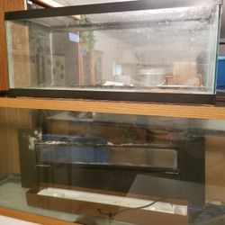 2 - Fish Tanks
