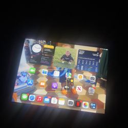 iPad Mini 