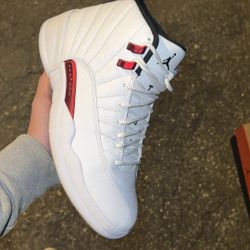 Size 8.5 Jordan 12 Twist 