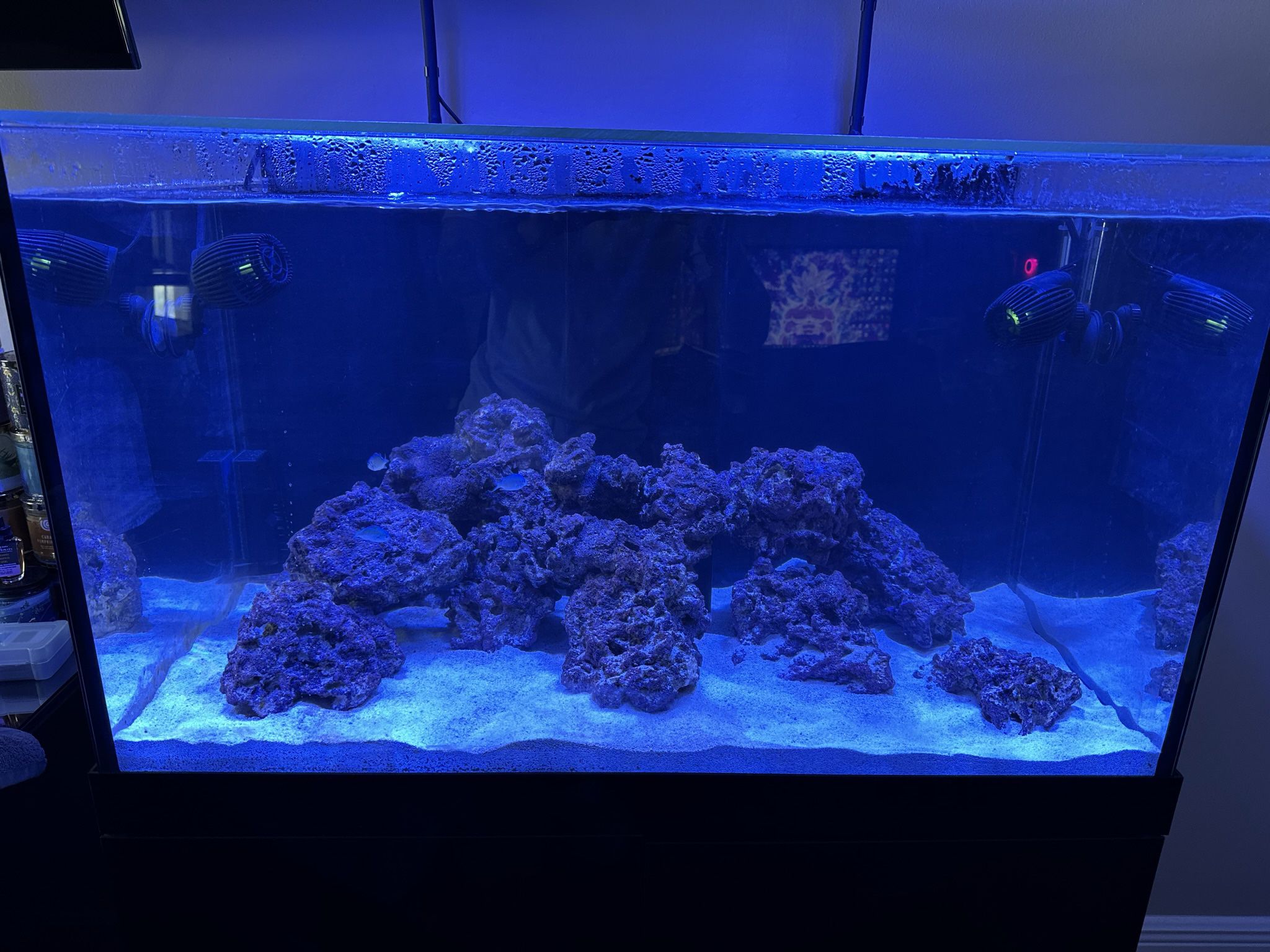 90 gallon pro star aquarium
