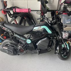 2024 Italica Bulldog