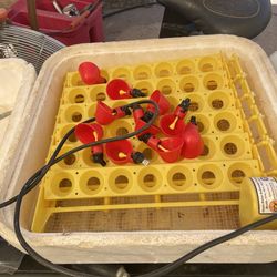 Egg incubator 42 egg
