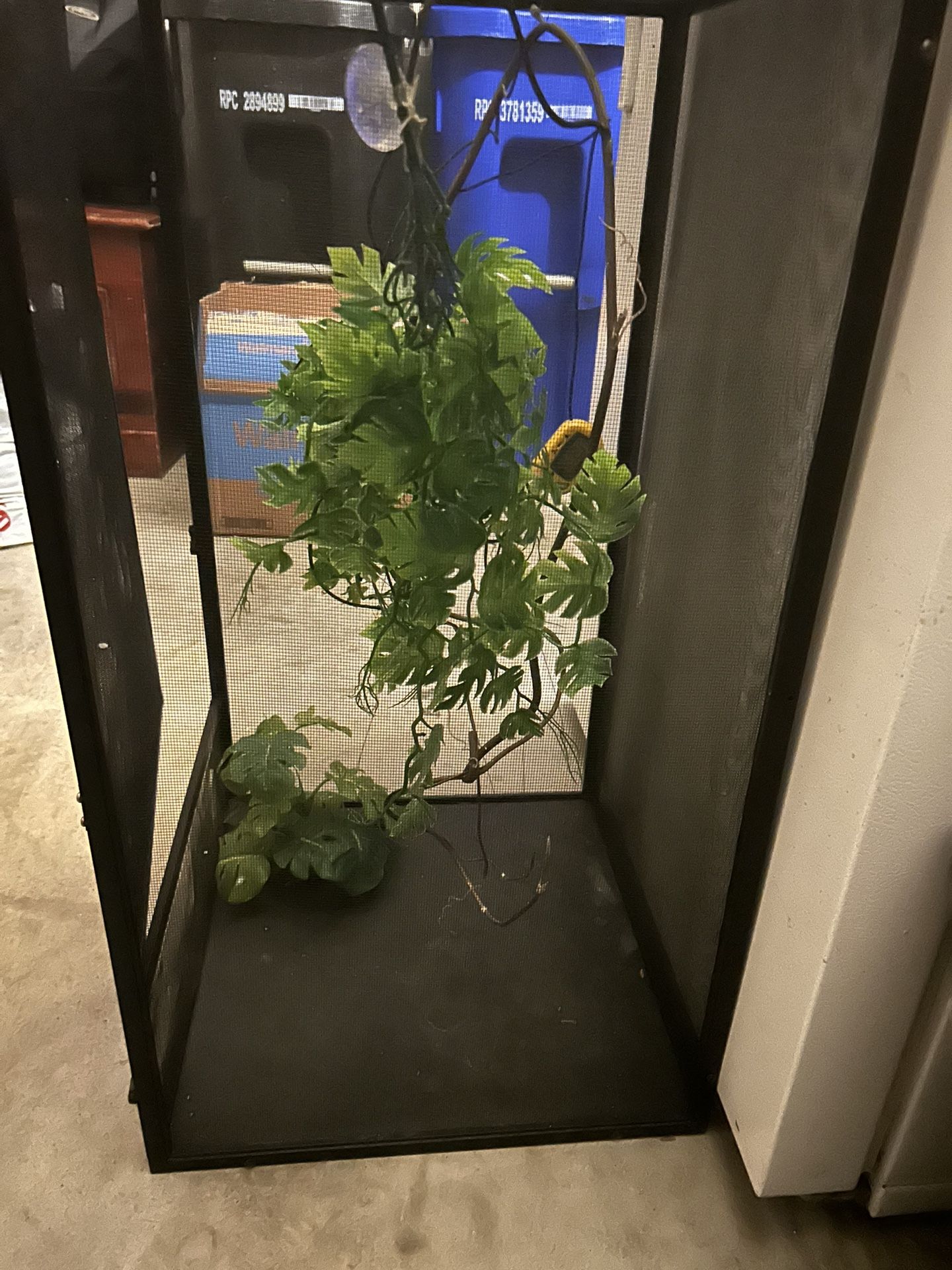 Lizard cage