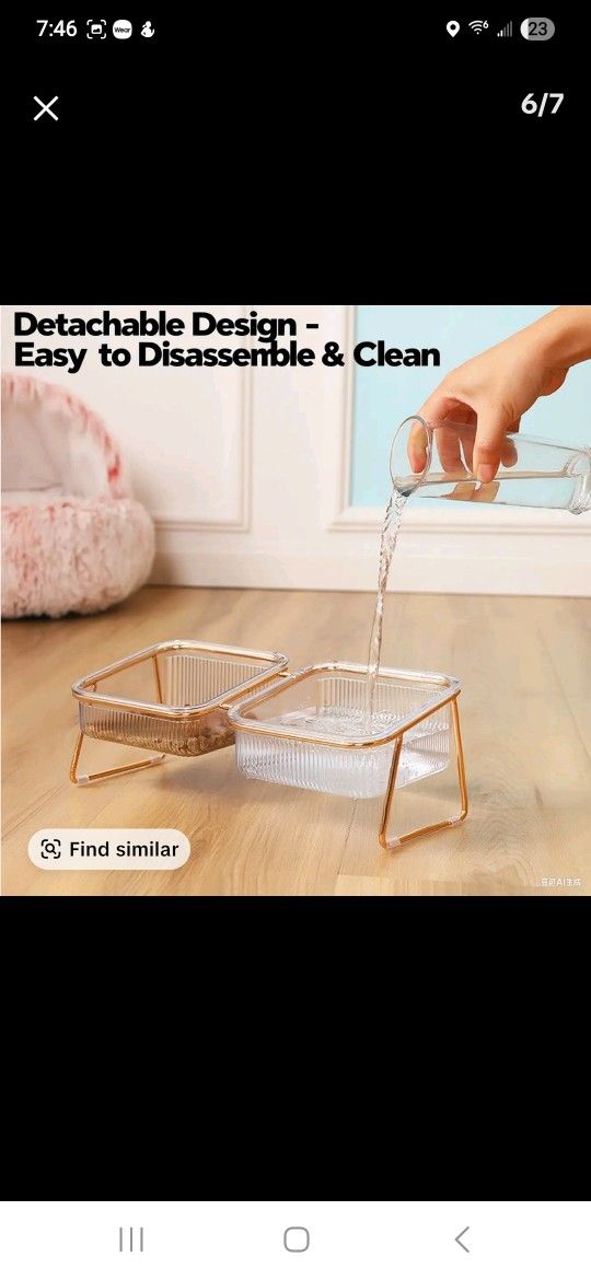 Cat Dish Or Small Dog Dish
