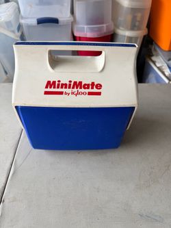 Mini cooler