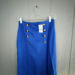 Ann Taylor Blue Skirt 