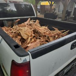 Douglas Fir 