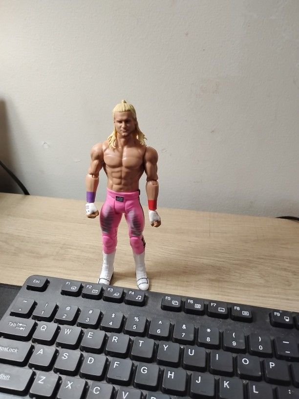 Wwe Action Figure 
