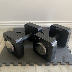 Eisenlink Adjustable Dumbbells Pair 80 Pound Each