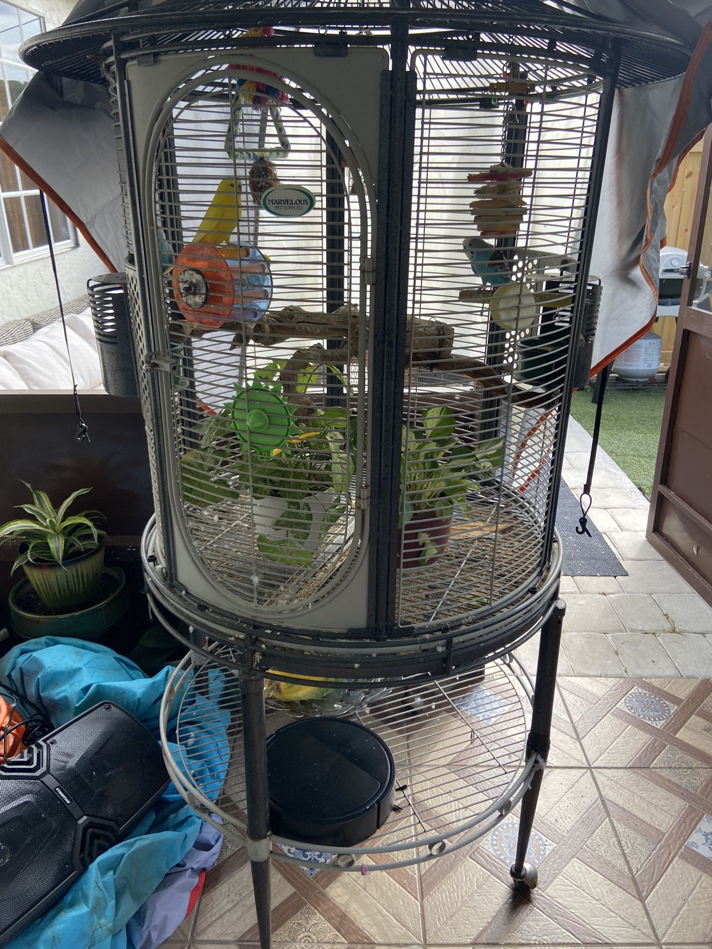 Huge Bird Cage With Everything In It Including 4 Parakeets