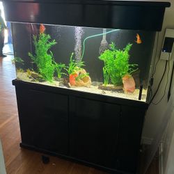 Fish Tank Decor