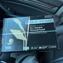 Glacier Bay Mount  Handheld Shower 