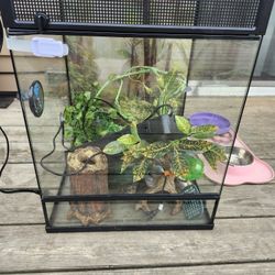 Reptile Cage With Some Accessories 