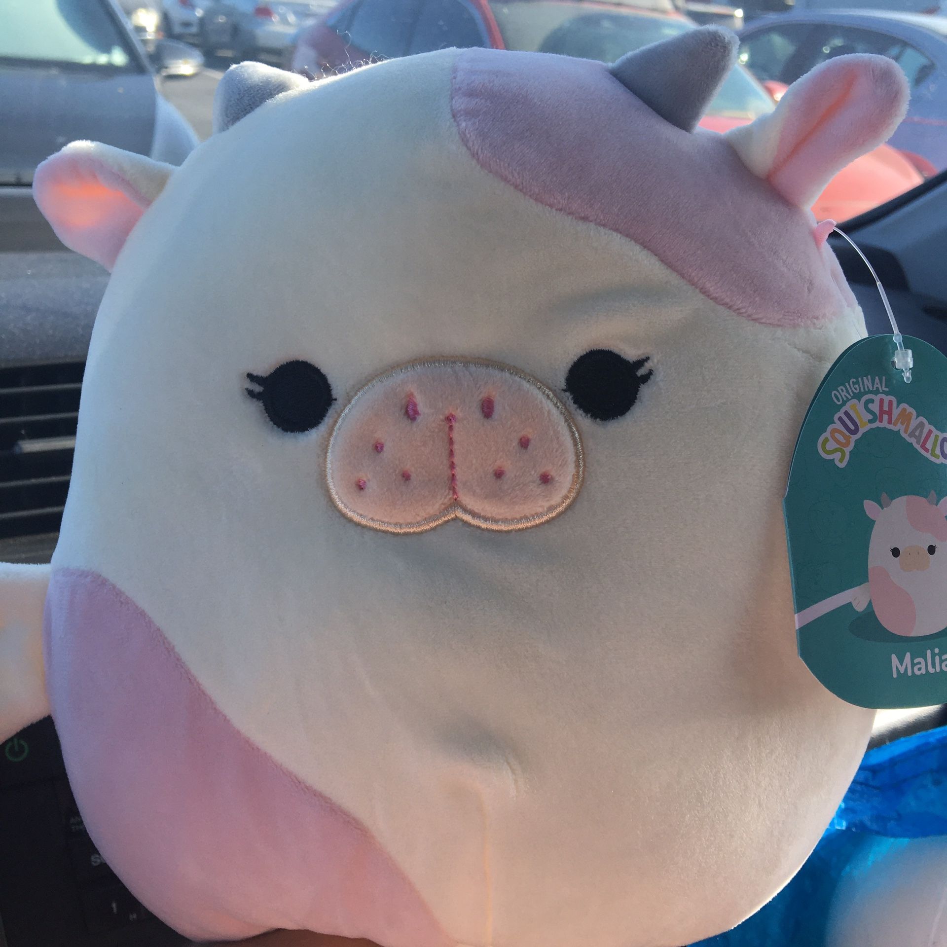 Squishmallow Malia 8” Sea Cow