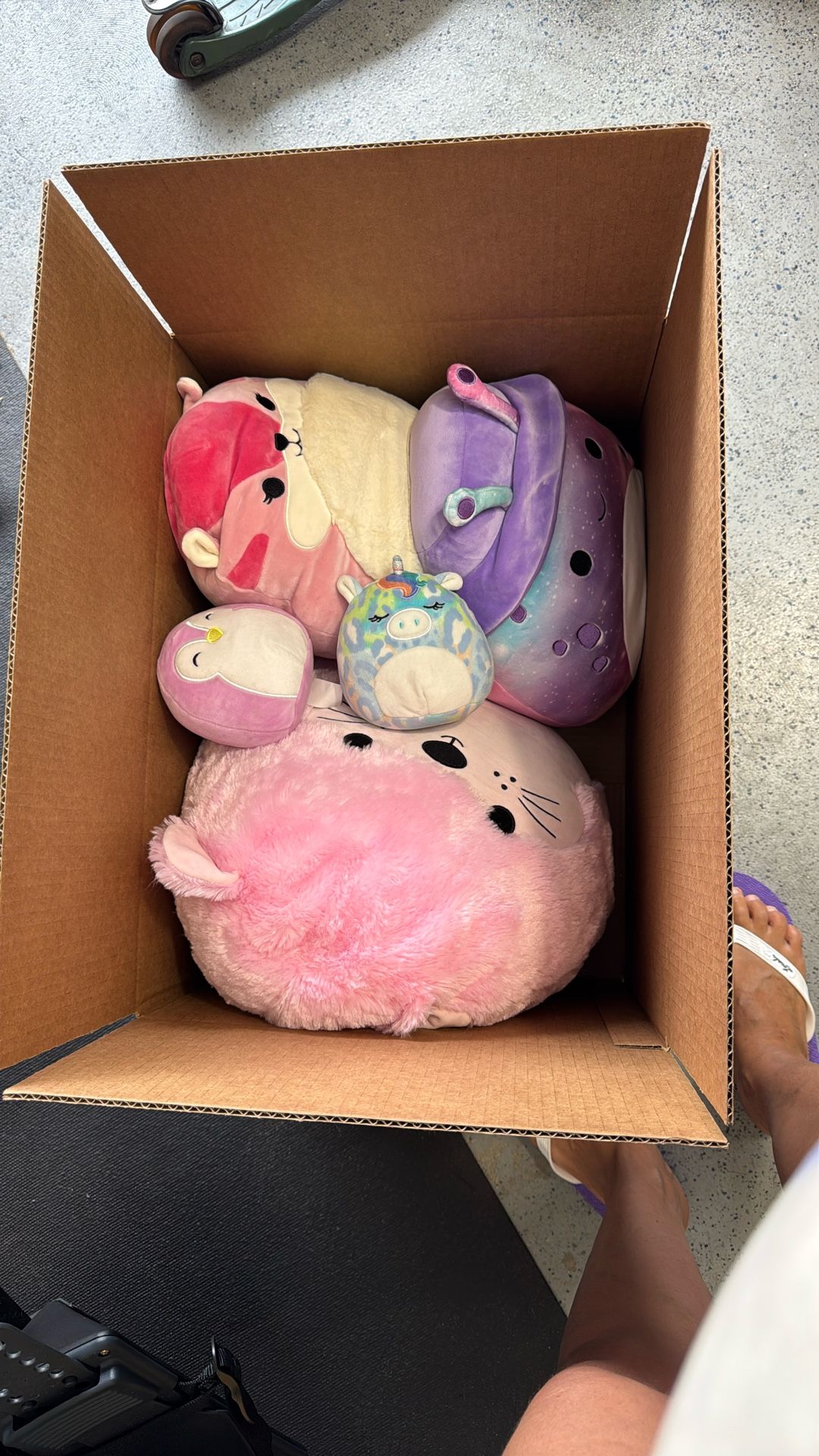 Squish mellows From X Large To Medium To Small