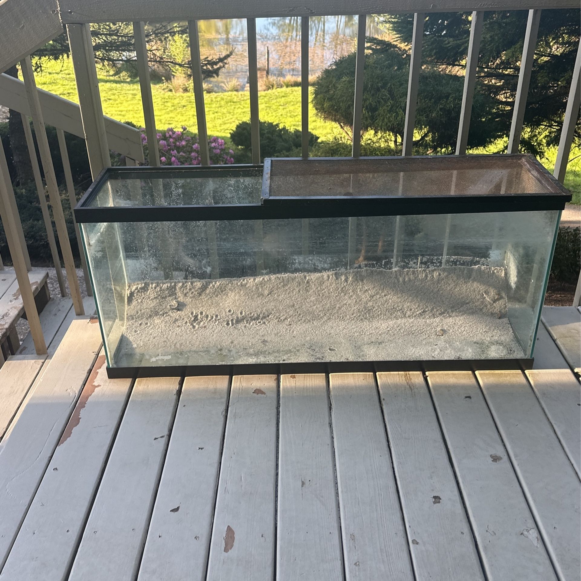 Fish Tank