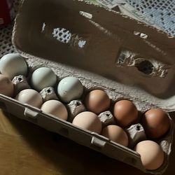 Eggs organic