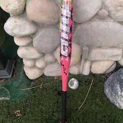 Bat 