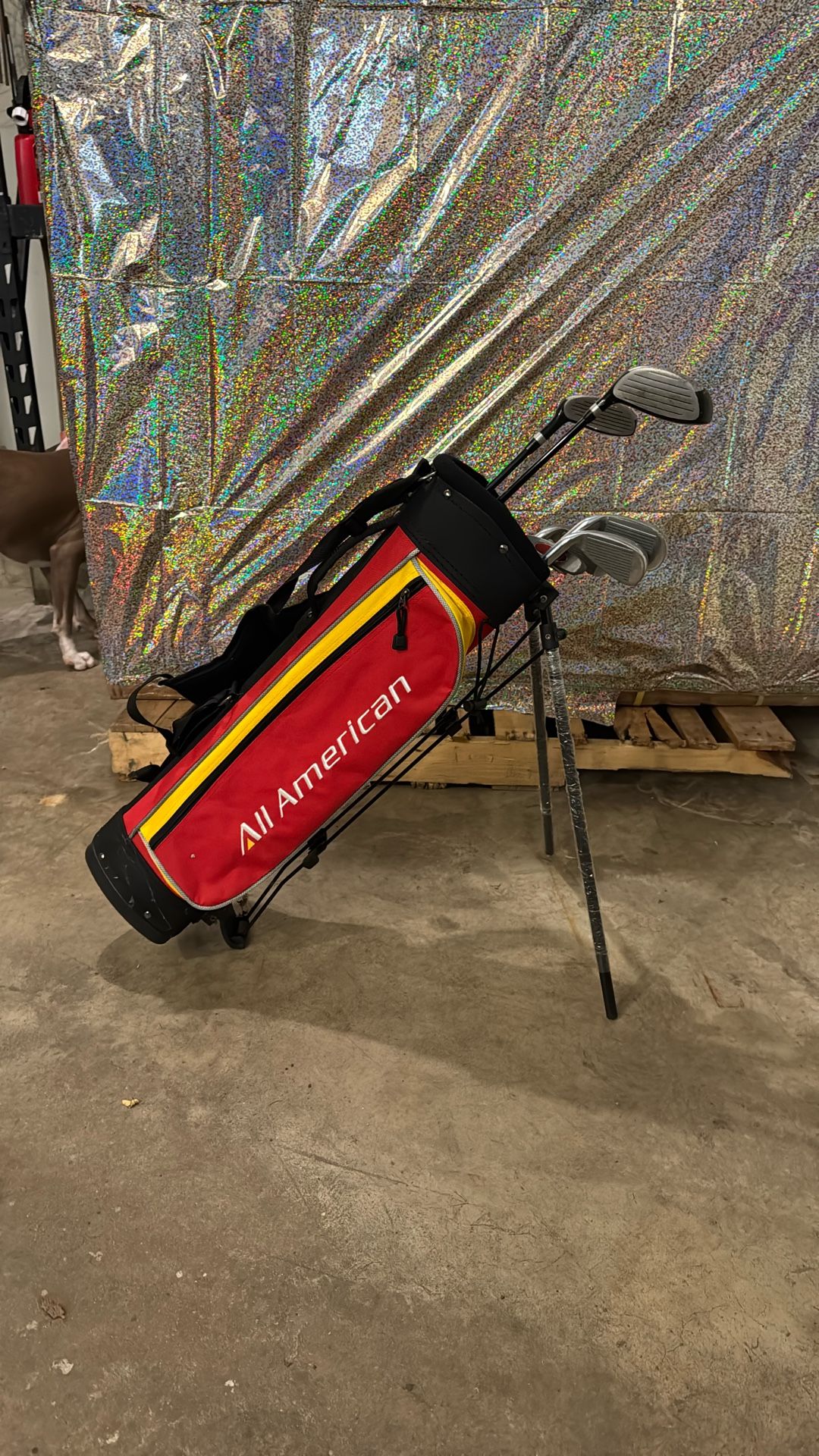 Junior Golf Club Set