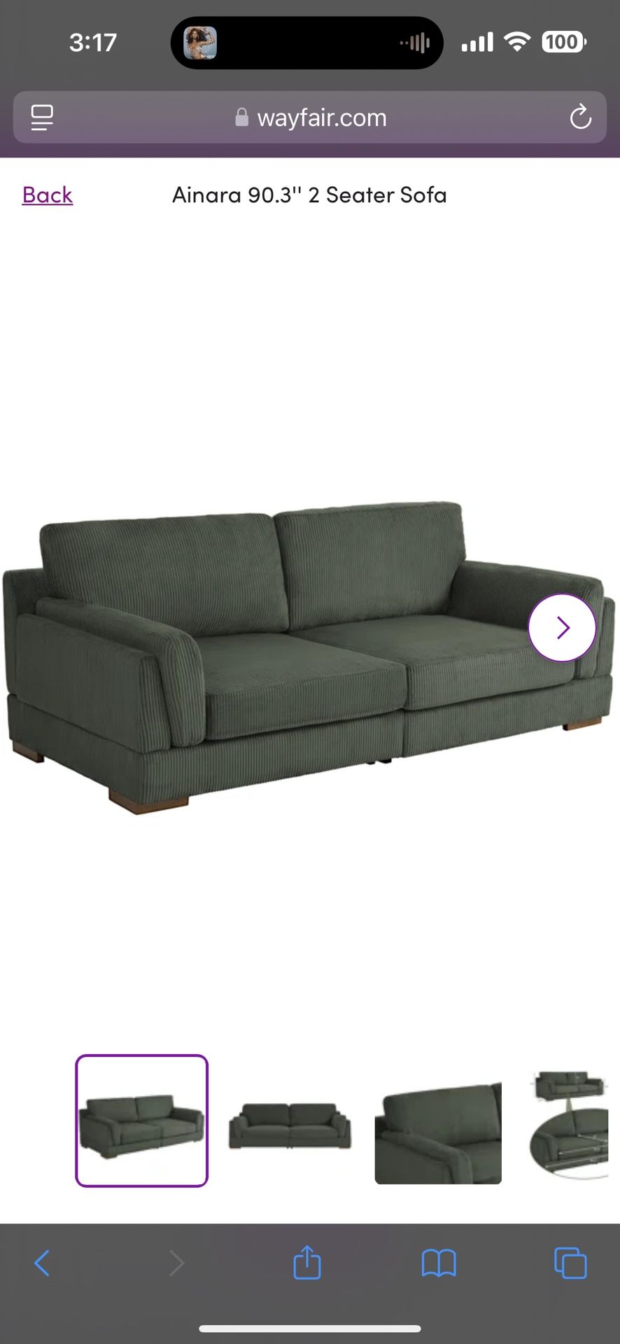 Green Wayfair Couch