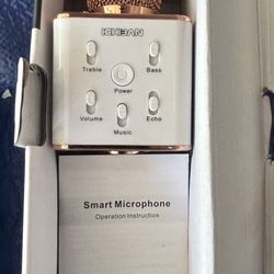 Karaoke Mic Built in Speaker, Echo, Reverb, Bass and Treble 
