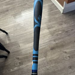 Crayon Wood Bat 