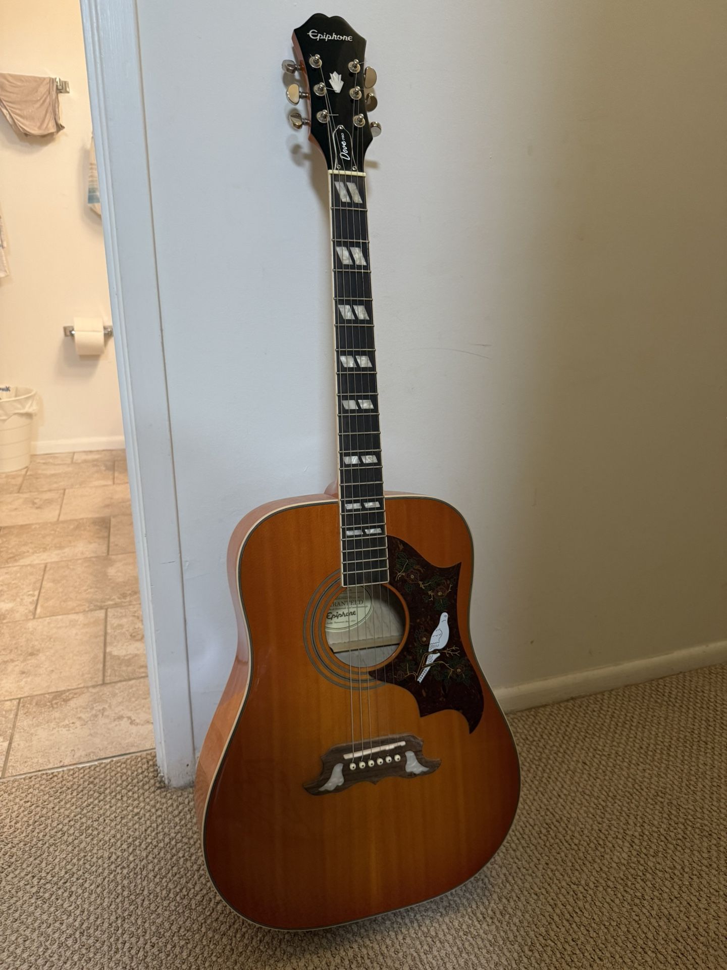 Epiphone Guitar