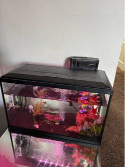 10 gallon fish tank