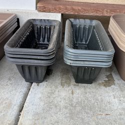 Planter pot propagation succulent plants garden