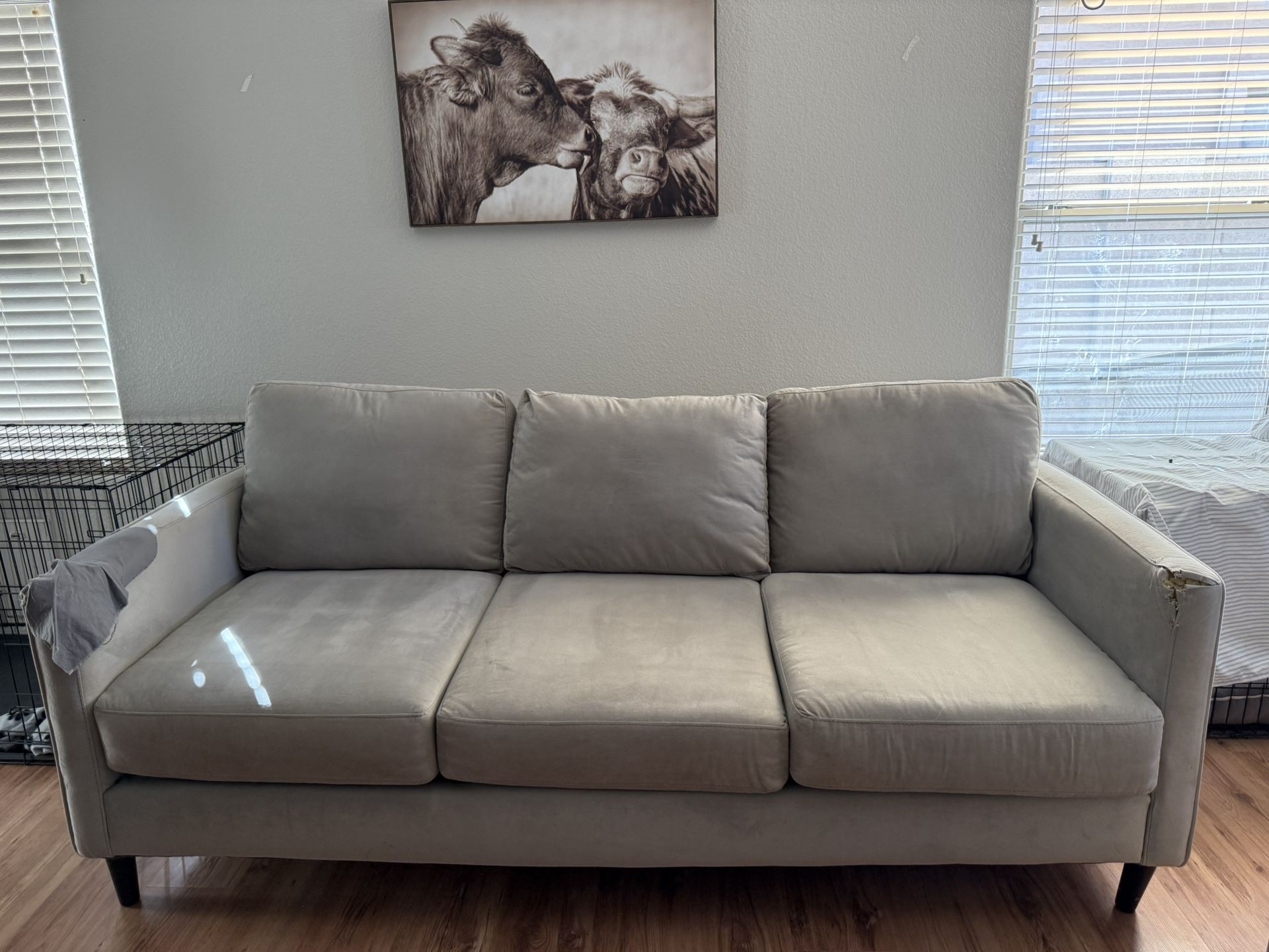 Couch/ Sofa