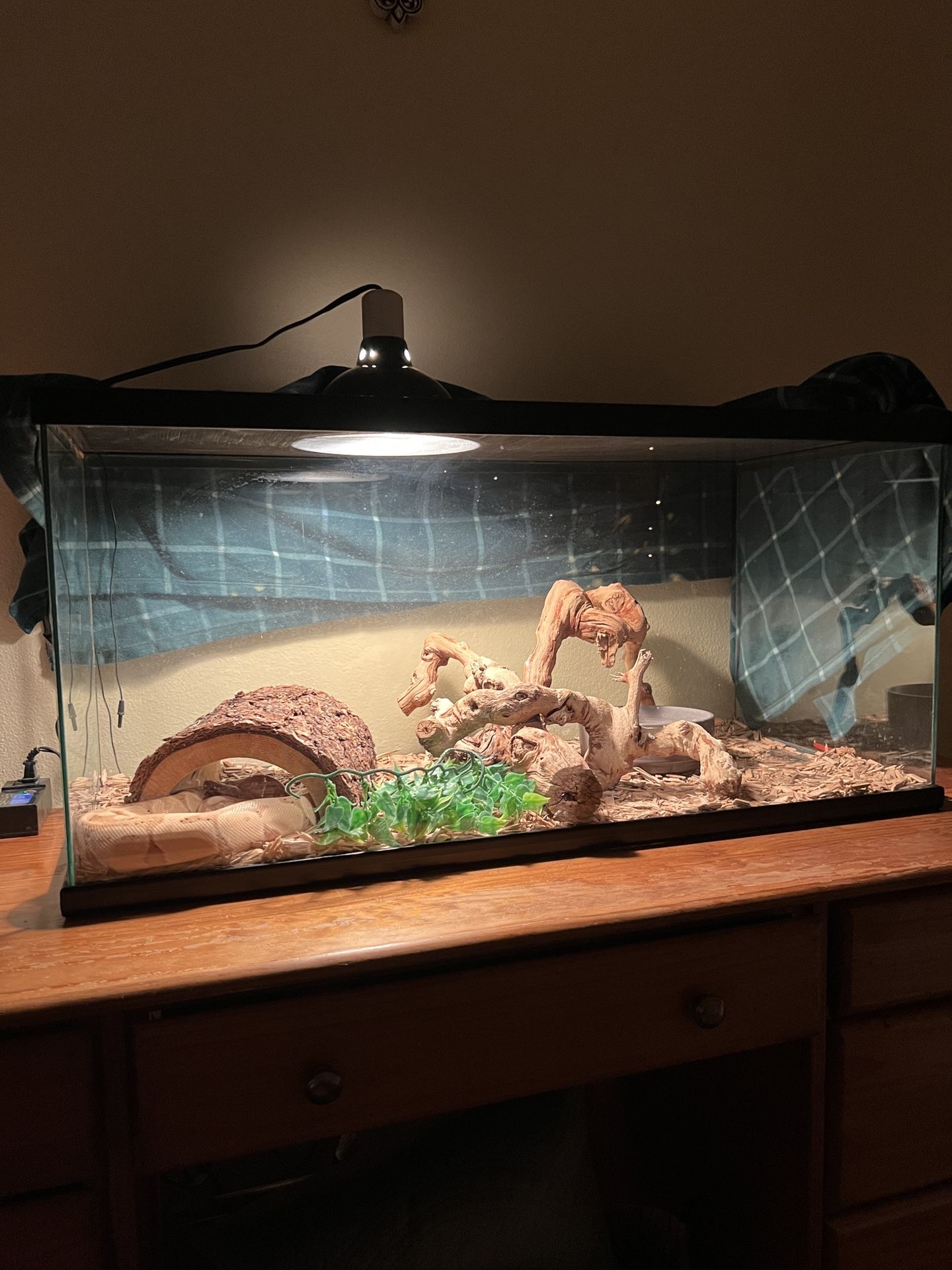 50 Gallon Snake Tank W/ Snake
