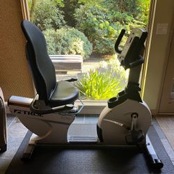 True ES700 Recumbent Bike