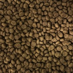 🔥🔥🆓FREE DOG FOOD - 7.5lbs Kirkland Brand Puppy🆓🔥🔥