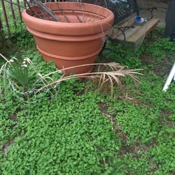 HUGE PLASTIC FLOWER POT 