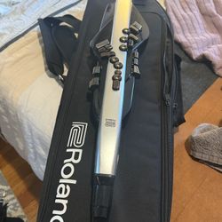 Roland Aerophone AE-30
