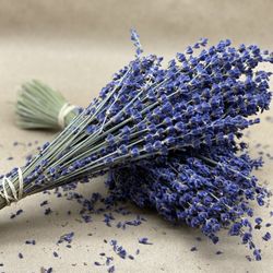Lavender Bundle