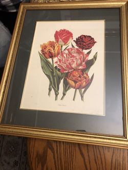 Framed floral print