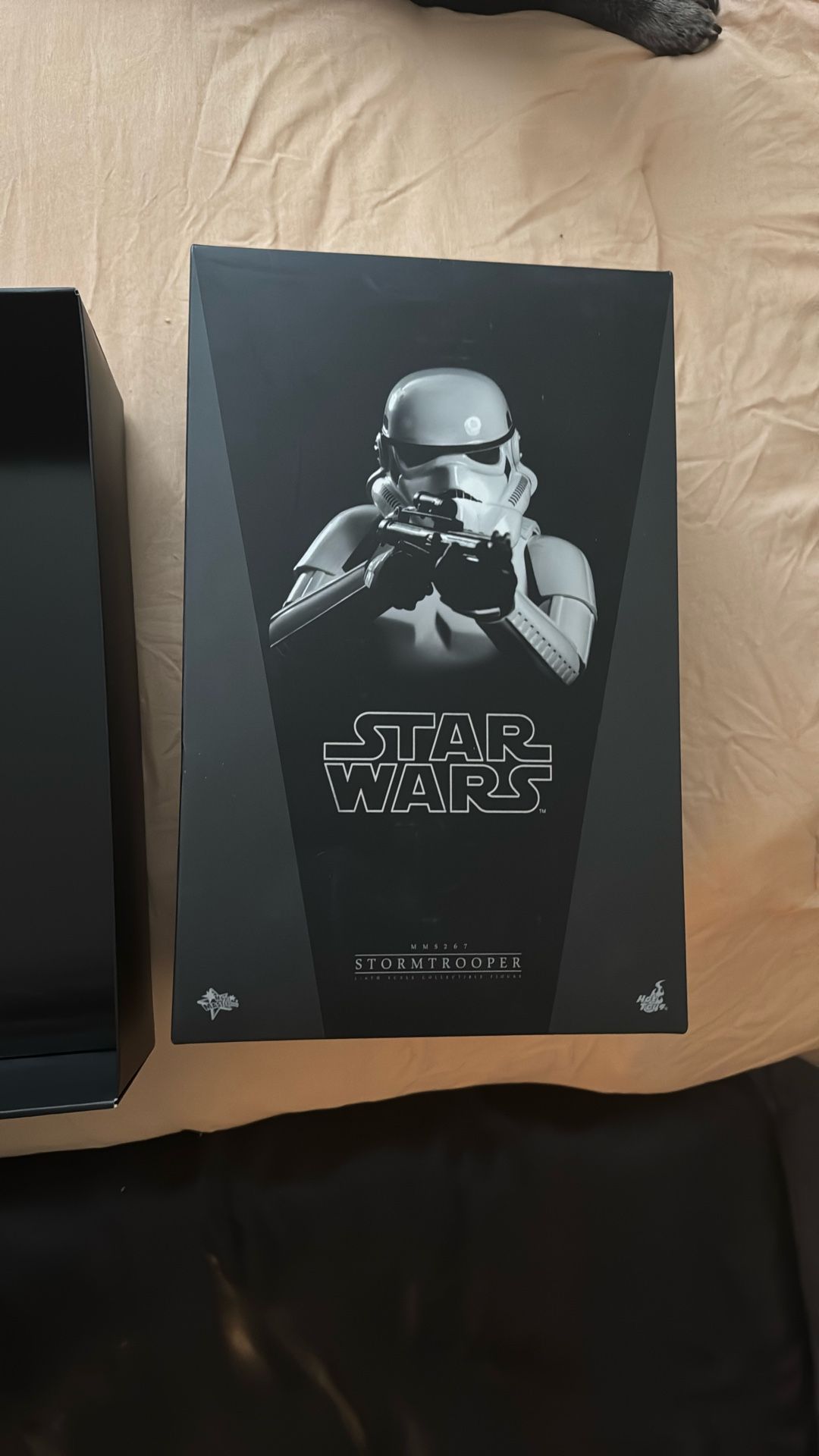 Storm Trooper Collectible