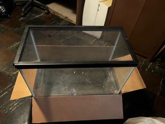 20 gallon tank